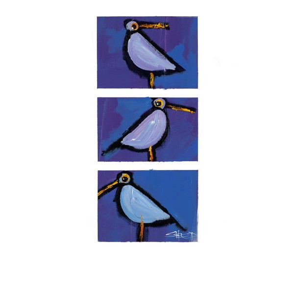 THREE BIRDS - PL23